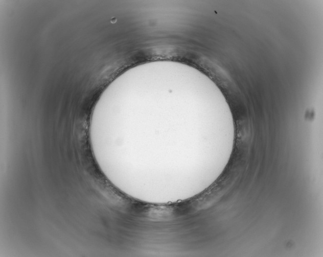 X0000091070369200709041224