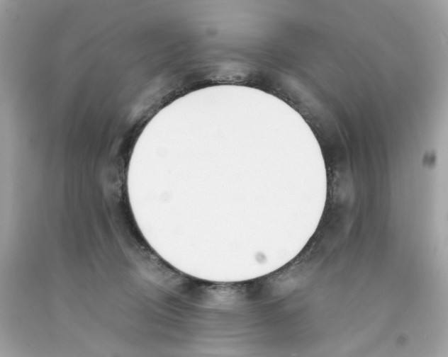 X0000091070370200709041224