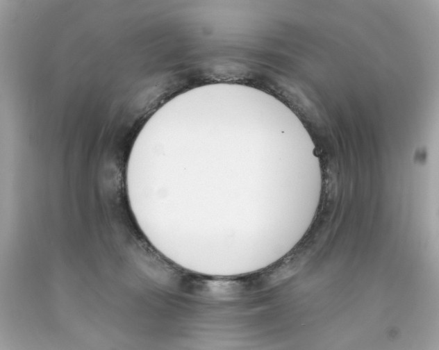 X0000091070371200709041224