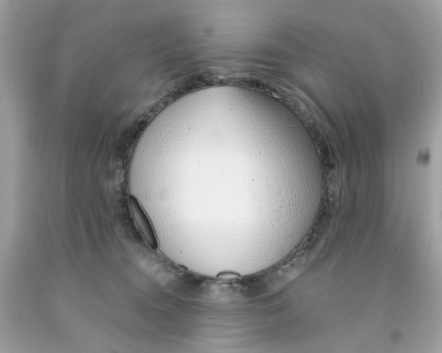 X0000091070372200709041224