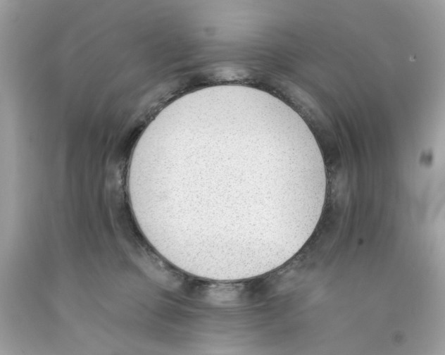 X0000091070373200709041224