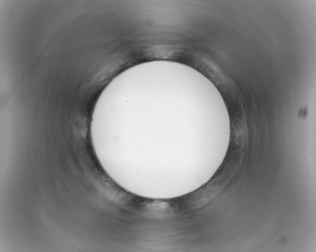 X0000091070374200709041224