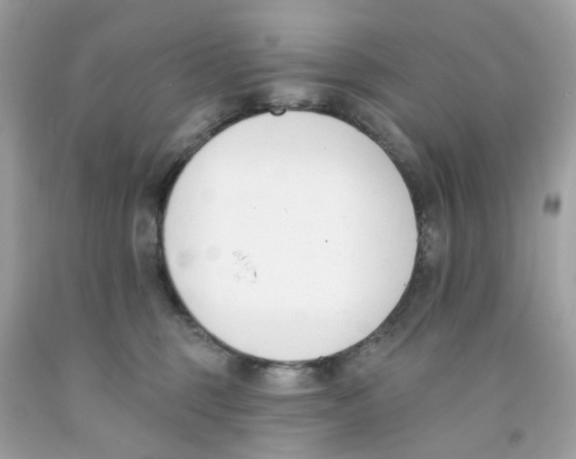 X0000091070375200709041224