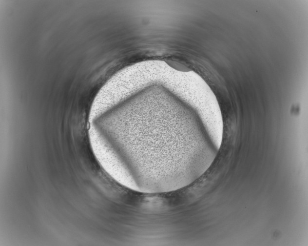 X0000091070376200709041224