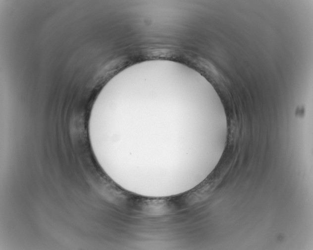 X0000091070377200709041224