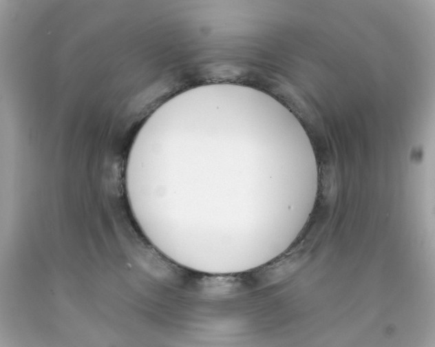 X0000091070378200709041224