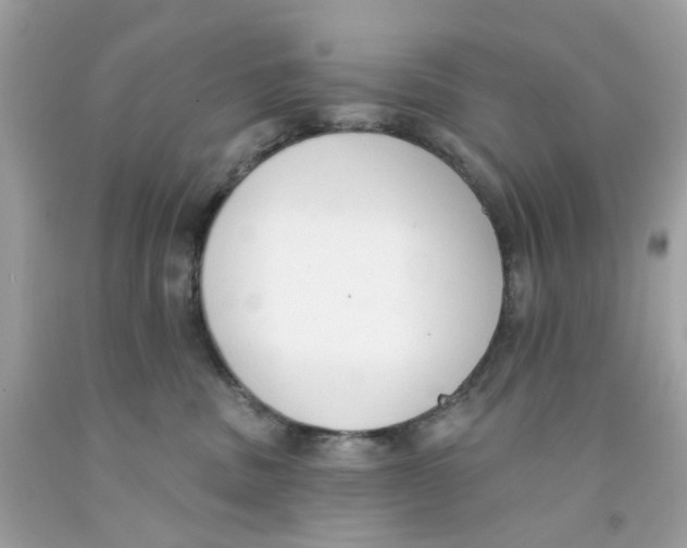 X0000091070379200709041224