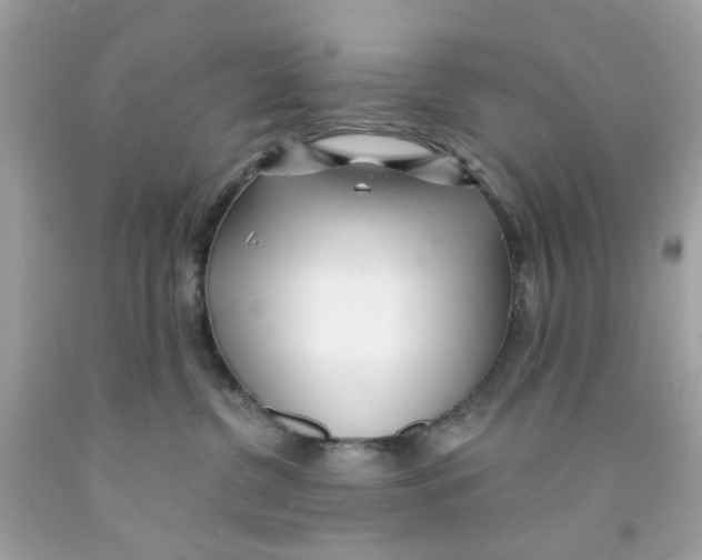 X0000091070380200709041224