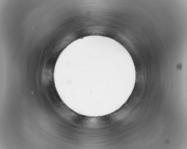 X0000091070382200709041224
