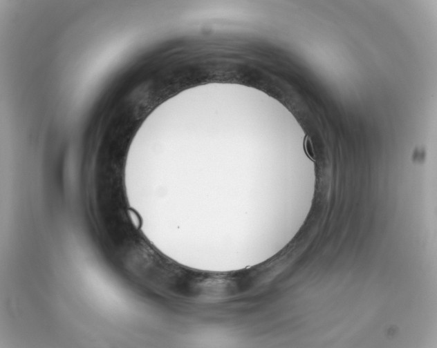 X0000091070383200709041224
