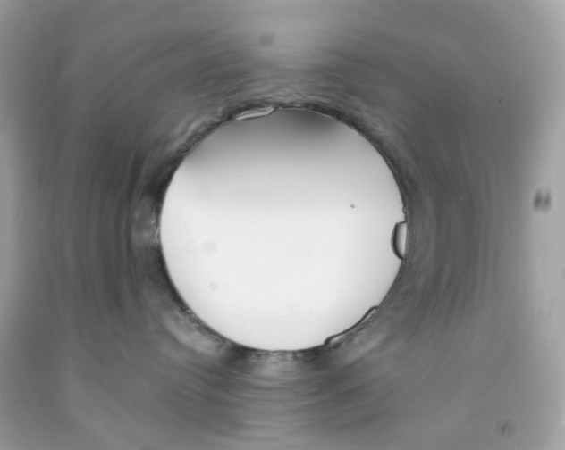 X0000091070384200709041224