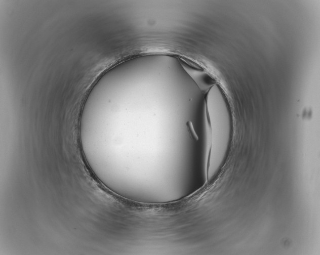 X0000091070385200709041224