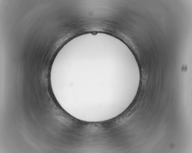 X0000091070386200709041224
