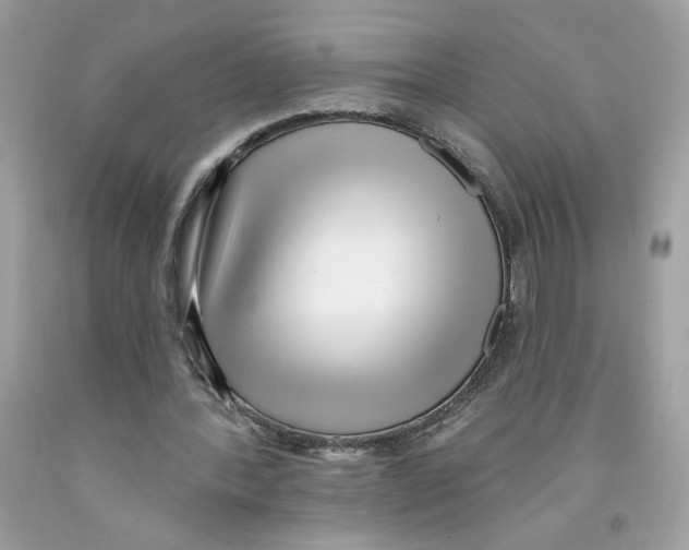 X0000091070388200709041224