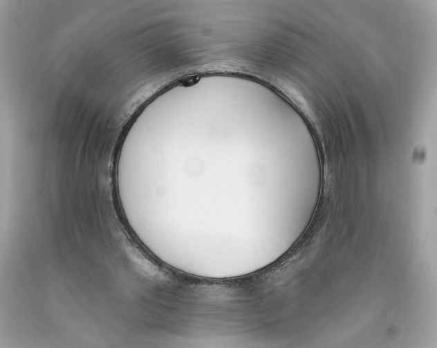 X0000091070389200709041224