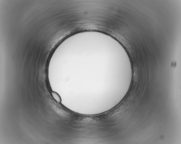 X0000091070390200709041224