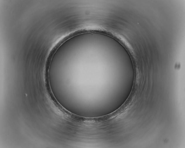 X0000091070391200709041224