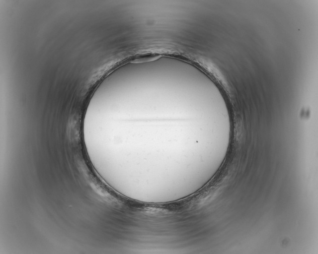 X0000091070393200709041224