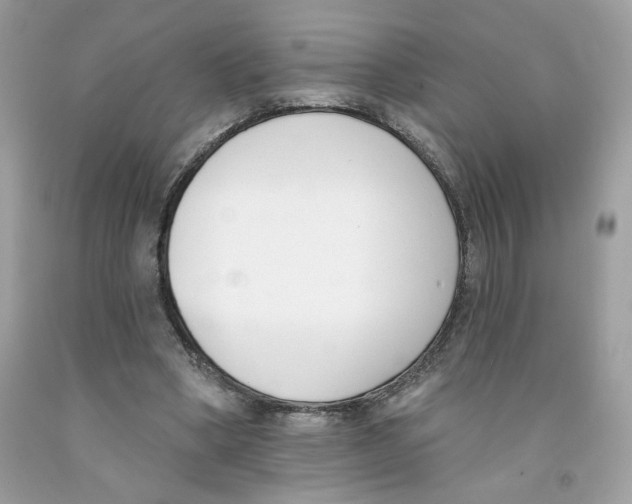 X0000091070394200709041224