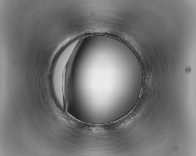 X0000091070395200709041224