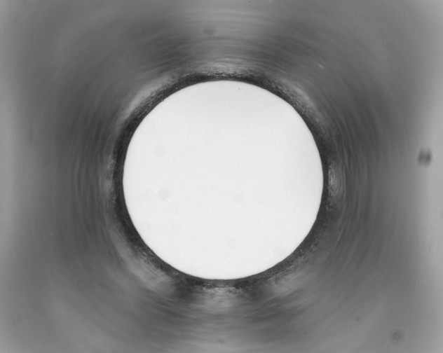 X0000091070396200709041224