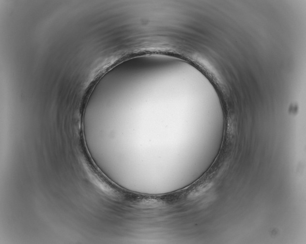 X0000091070397200709041224
