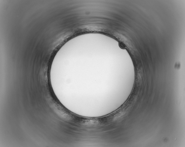 X0000091070398200709041224