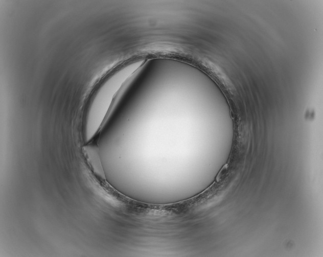 X0000091070399200709041224