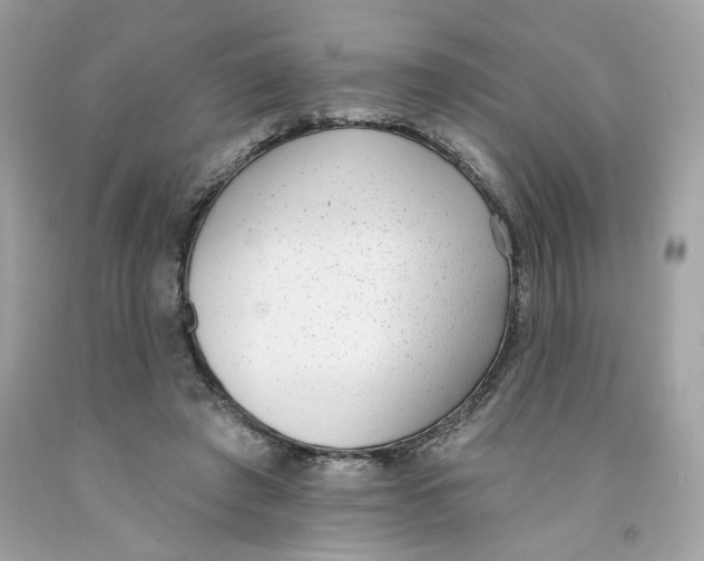 X0000091070401200709041223