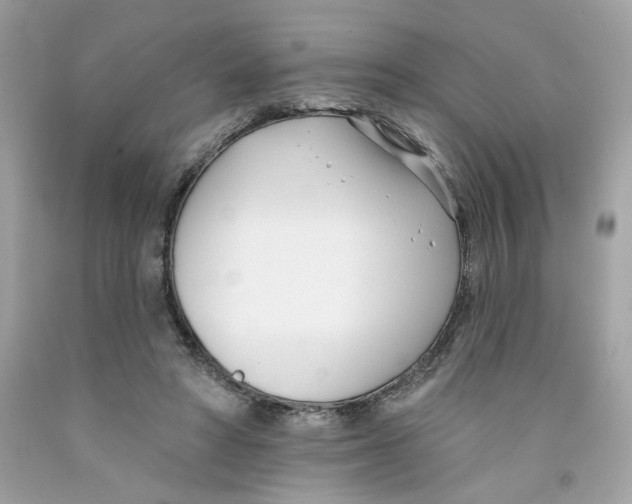 X0000091070402200709041223