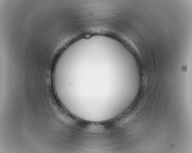 X0000091070403200709041223