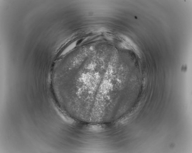 X0000091070405200709041223