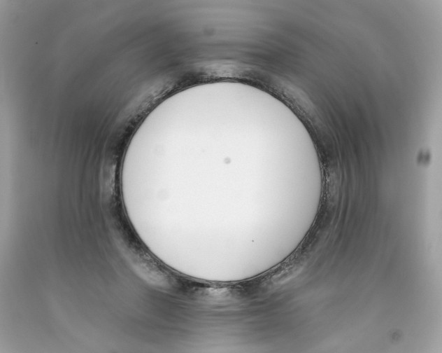 X0000091070406200709041223