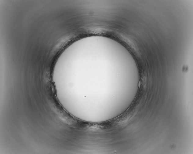 X0000091070407200709041223