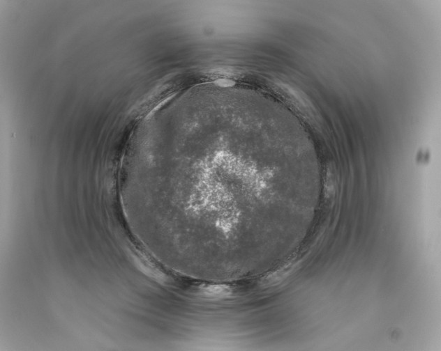 X0000091070409200709041223