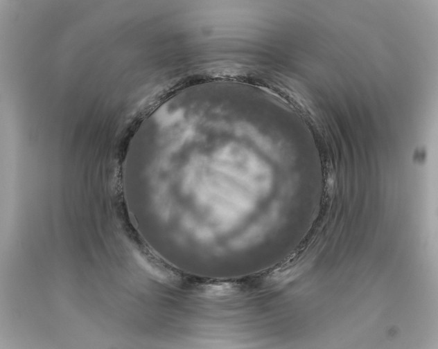 X0000091070411200709041223
