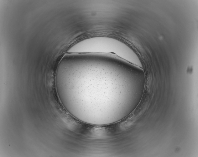 X0000091070413200709041223