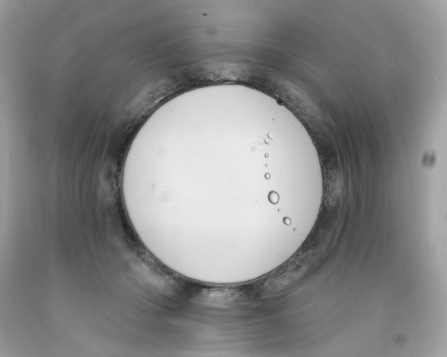 X0000091070414200709041223