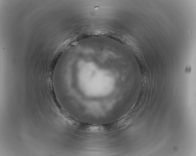 X0000091070415200709041223