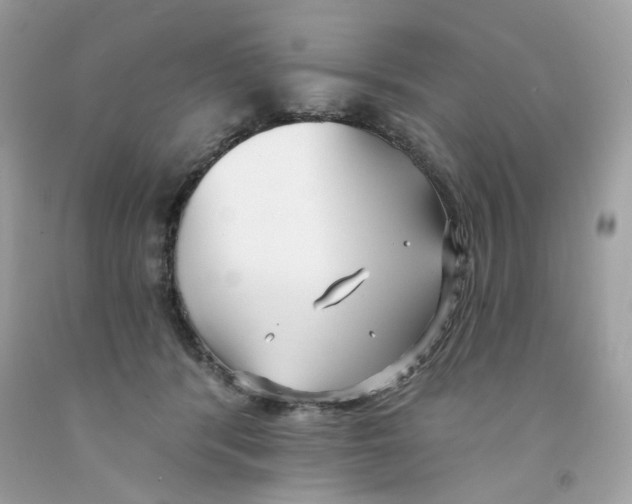 X0000091070416200709041223