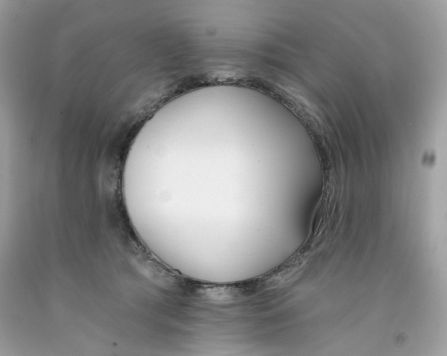 X0000091070417200709041223