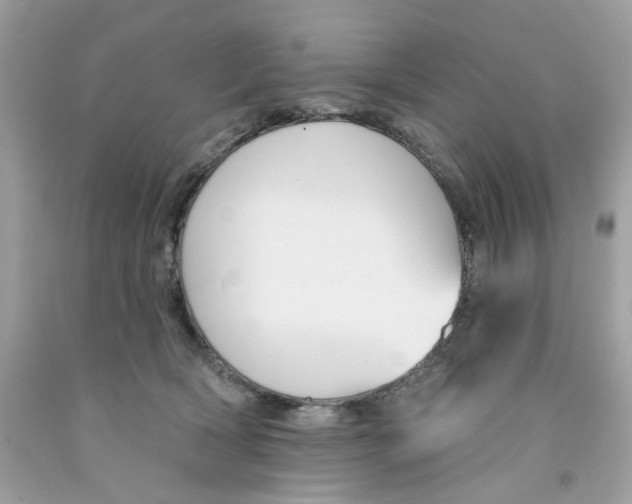 X0000091070418200709041223