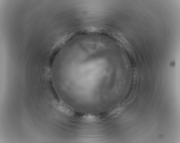 X0000091070419200709041223