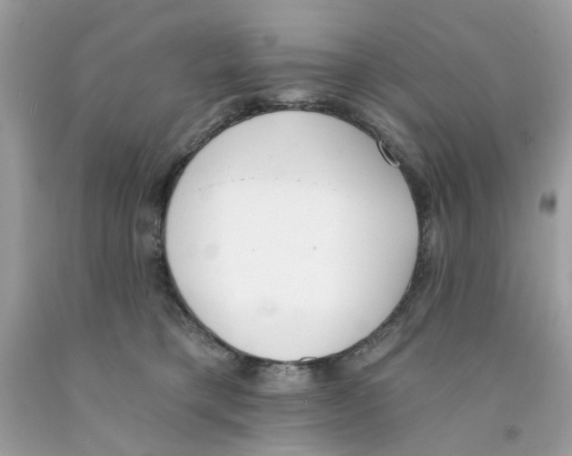 X0000091070421200709041223