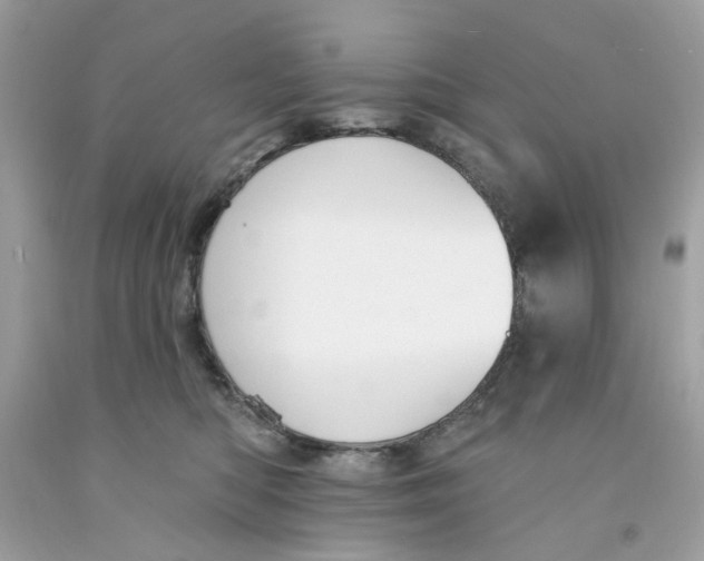 X0000091070422200709041223