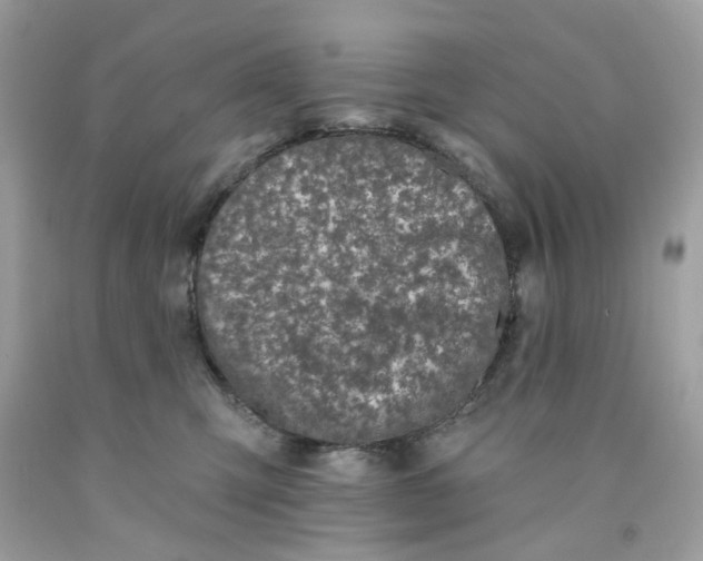 X0000091070423200709041223