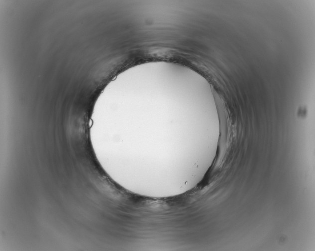 X0000091070424200709041223