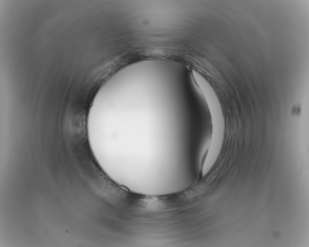 X0000091070425200709041223