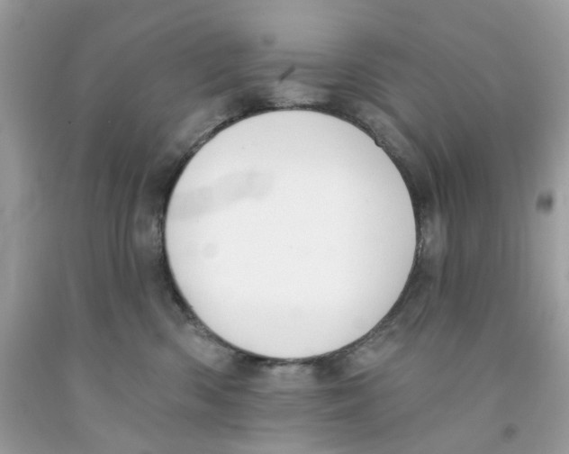 X0000091070426200709041223