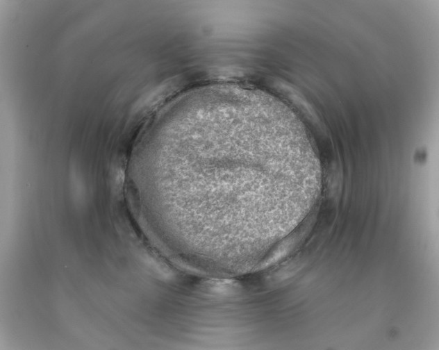 X0000091070427200709041223